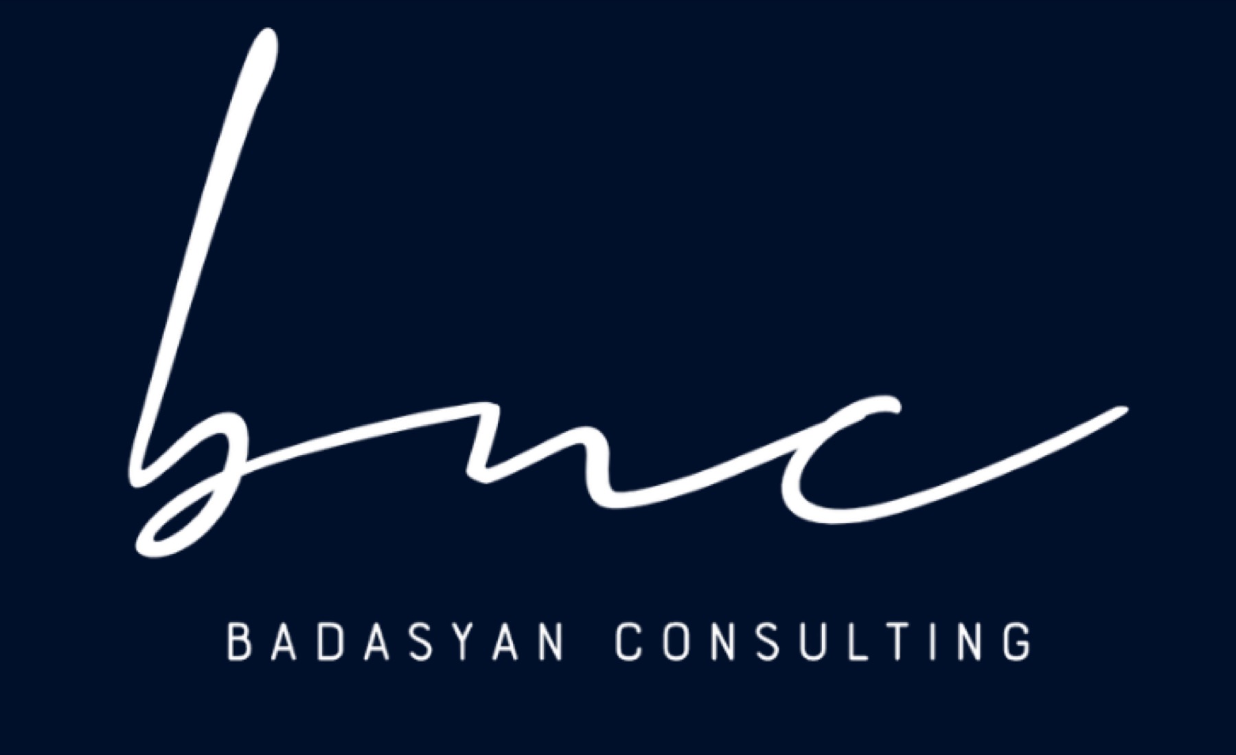 Badasyan Consulting logo